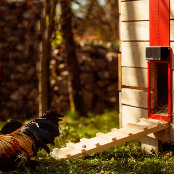 2022ny automatisk hönshusdörr Ljusavkännande kyckling