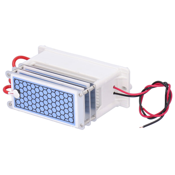 15G Ozon Generator med Integrert Keramisk Plate Luftrenser for Industriell Bruk 110V