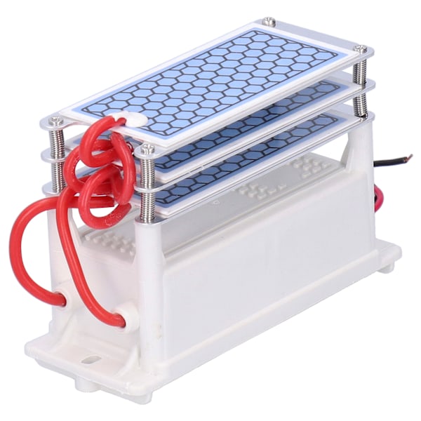 15G Ozon Generator med Integrert Keramisk Plate Luftrenser for Industriell Bruk (220V)