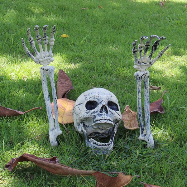 Realistiska skeletthuvud Halloween-dekorationer för Halloween