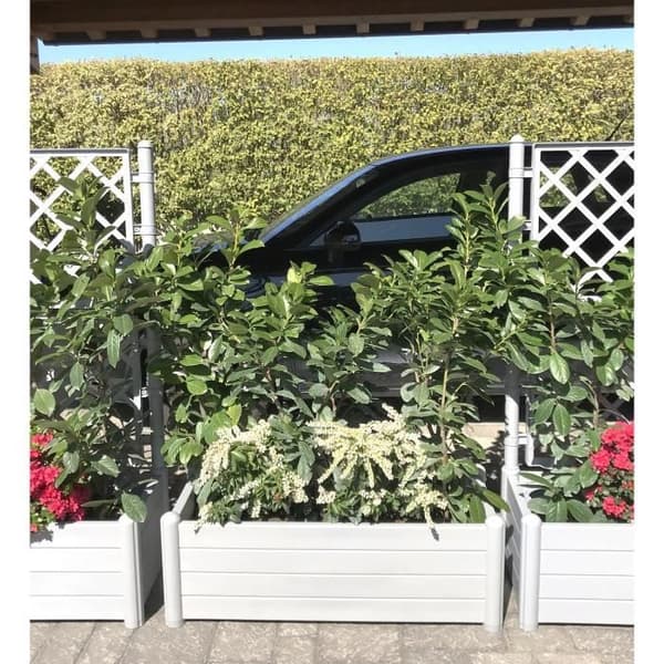 【YD】STEFANPLAST Rektangulär blomlåda - Träfinish - 100x43xH35cm - 80L - Vit