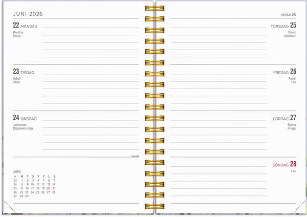 【YD】Kalender 25/26 Senator A6 Story Äng