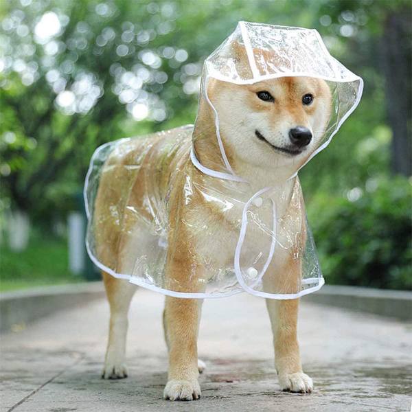 Vattentät regnkappa för husdjur Bärbar regnkappa för husdjur Andas lätt hundregnponcho