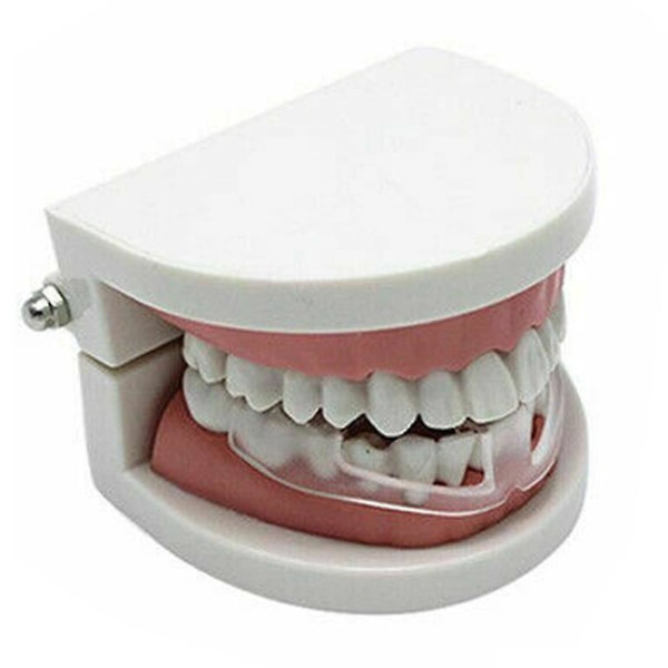 Dental Mouth Guard Bruxism Splint Tandslipning Bite Sleep Tool