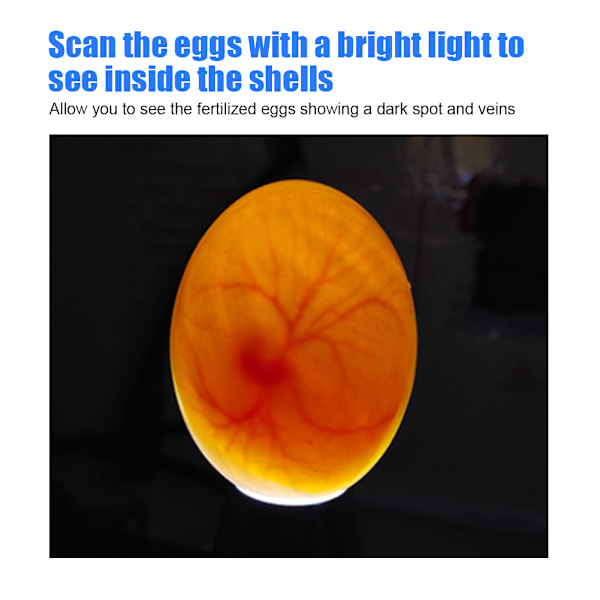 Blå 9-LED Egg Inkubator Lyslampe - Fjærfe Tilbehør for Klekketester