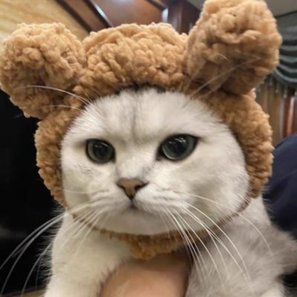 Tegneserie Bjørn Shape Pet Cap Kitten Hat Pet Supplies Brown S