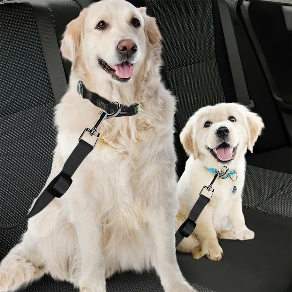 Justera Din Hunds Säkerhet - Bilbälte! Rosa