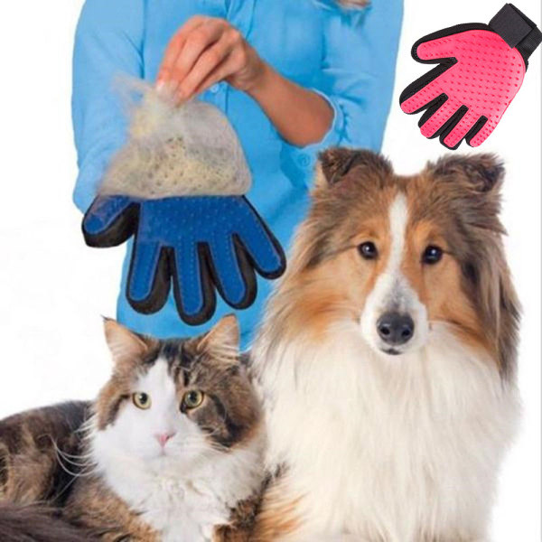 Koiran ja kissan harjaus - oikean käden käsine Blå