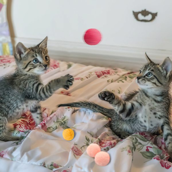 5st Pom Pom bollar Rolig leksak för Katter Fluffig Mjuk