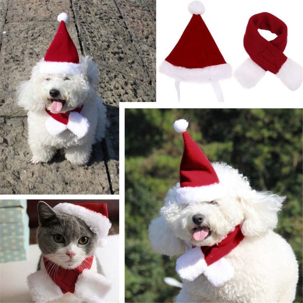 Koiran ja kissan joulupukkihattu + huivi S