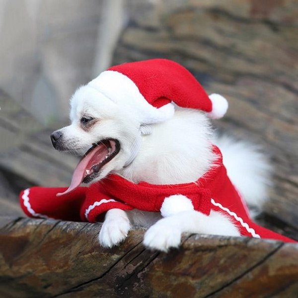 Tomteklädsel till liten hund mantel och luva röd vit jul Röd