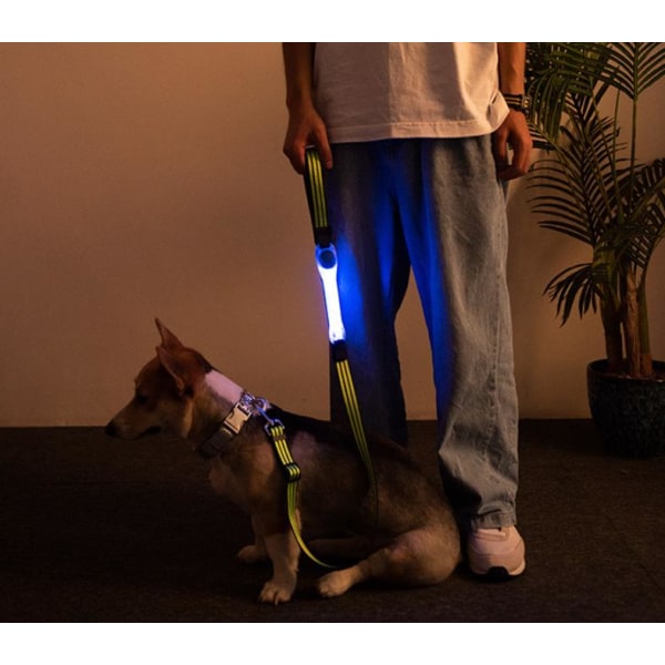 Hihna LED-valolla yövalolla koiran talutushihnaan talven monitoi Blue XL