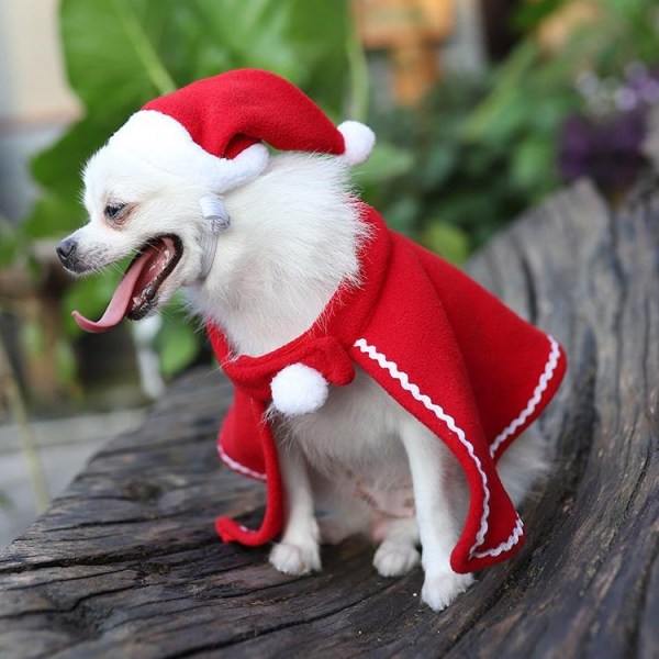 Joulupukkimekko pienelle koiralle takki huppu punainen valkoinen Red