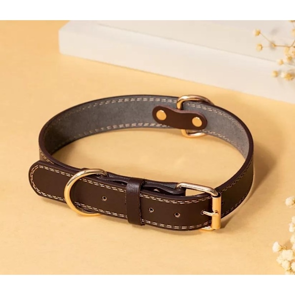 Snyggt halsband i brunt läder med gulddetaljer S-XL storlek Brown 40-50 cm
