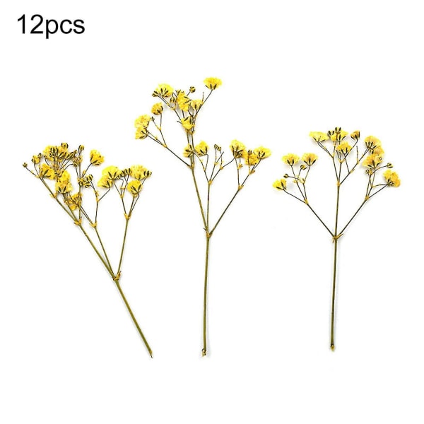 Farfi 12st Torkade Blombuketter Naturlig Långvarig Realistisk Färgglad Torkad Gypsophila Blomma för Bröllop yellow