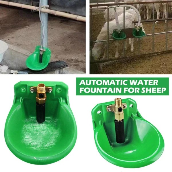 automatisk vattenskål Gård får automatisk vattenskål nötkreatur och hästar