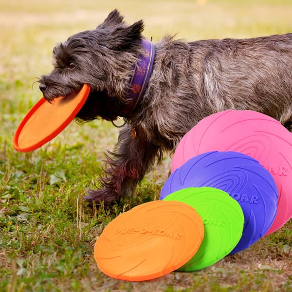 Flygande Disk - Hållbar Gummidisk för Hundar 4-pack 15cm