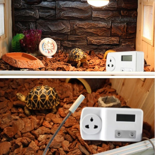 Reptil digital termostat Digital display Lättläst temperaturkontroll