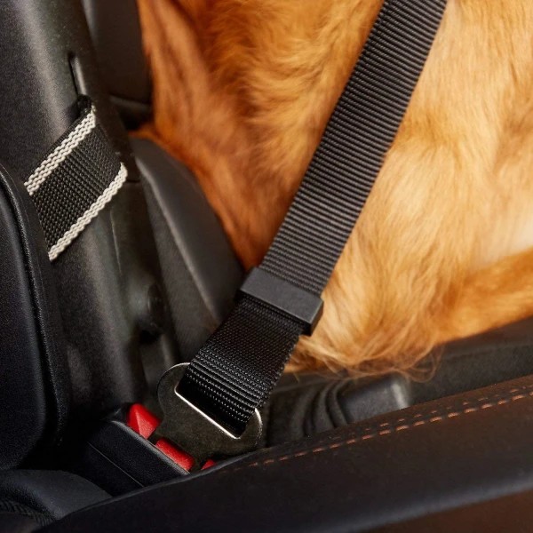 Djursäkerhetsbälte koppel hund bil säkerhetsbälte