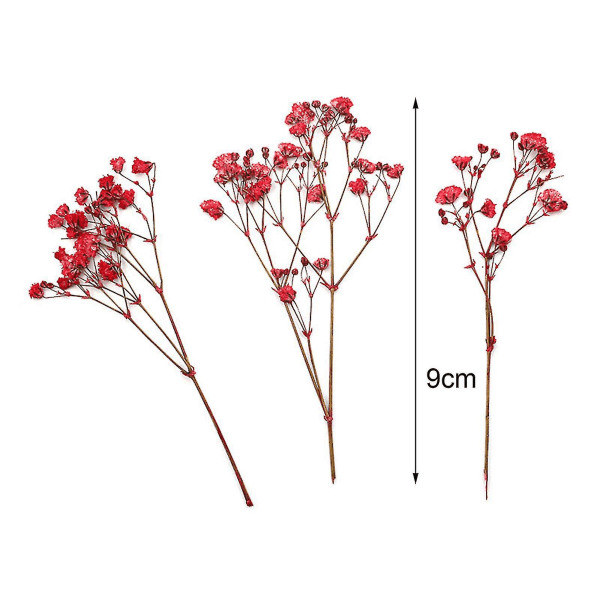 Farfi 12 st torkade blombuketter Naturlig långvarig realistisk färgglad torkad gypsophila blomma för bröllop pink