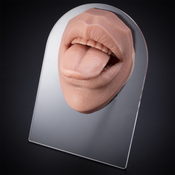 Mjuk mun mjuk silikonmodell för tunga och mun som simulerar mänskliga delar
