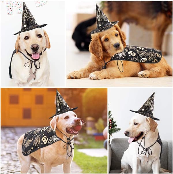 2 STK Kat Hund Vampyrkappe og Heksehat til Halloweenfest