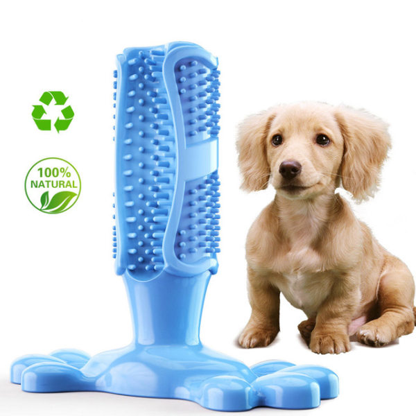 Hundleksaker Hundtandborste Tuggleksaker Säkra och ofarliga tandrengöring Tandborste för hundar Blå
