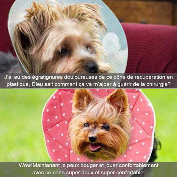 Cone-Bekväm krage efter operation för katter och hundar, robust, b
