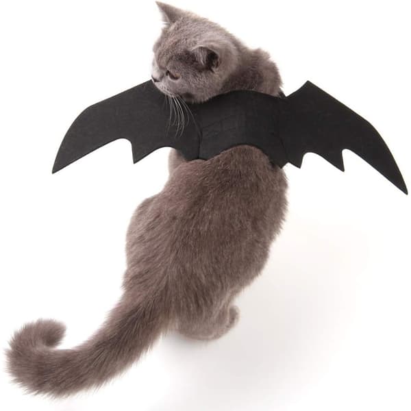 Non-woven tyg husdjurskatt fladdermusvingar Halloween