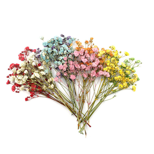 Farfi 12 st torkade blombuketter Naturlig långvarig realistisk färgglad torkad gypsophila blomma för bröllop pink