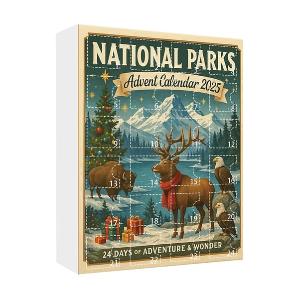 2025 Park Tema Julekalender Blind Boks