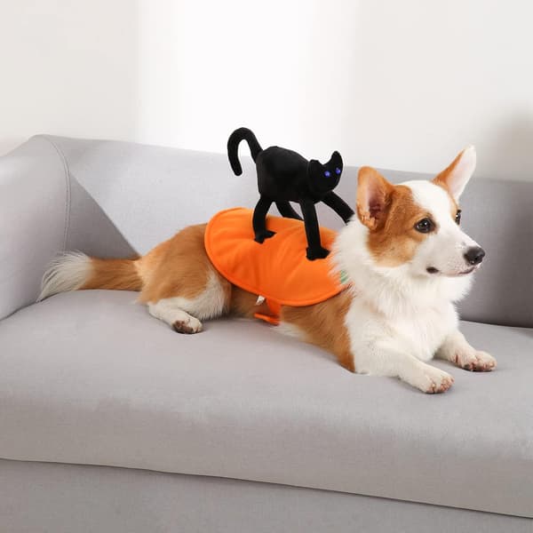 Hundekostume med Sort Kat Dekoration, Halloween Kostume til Små