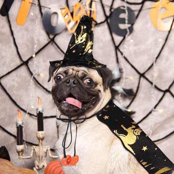 2 STK Kat Hund Vampyrkappe og Heksehat til Halloweenfest