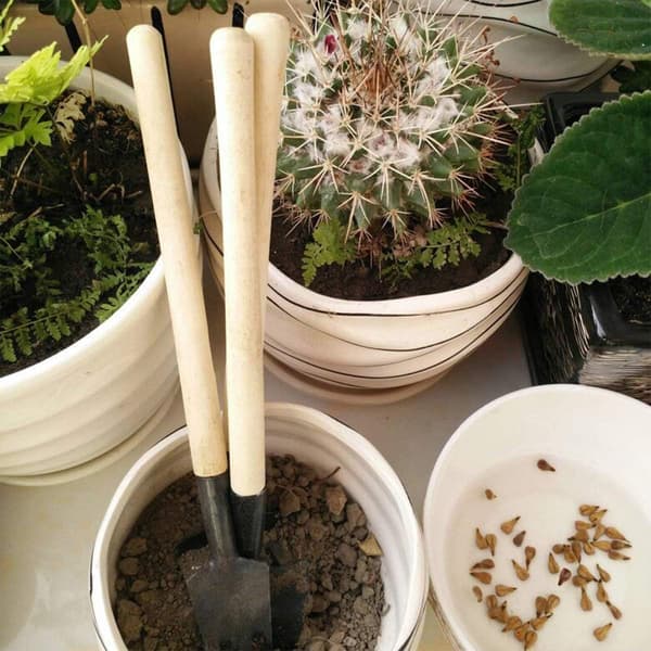 Hageverktøy Mini Planting Kit for ompotting av planter