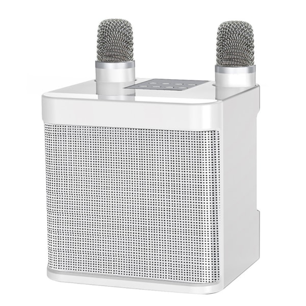Karaoke bluetooth högtalare trådlös dubbel mikrofon ljudmikrofon i ett 1