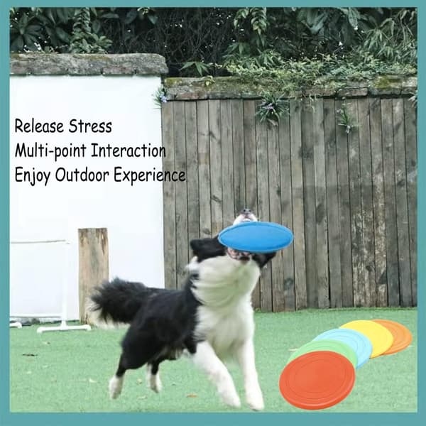 Hundefrisbee, Valpeflygerleke Raskere Reaksjon, Trening Interaktiv