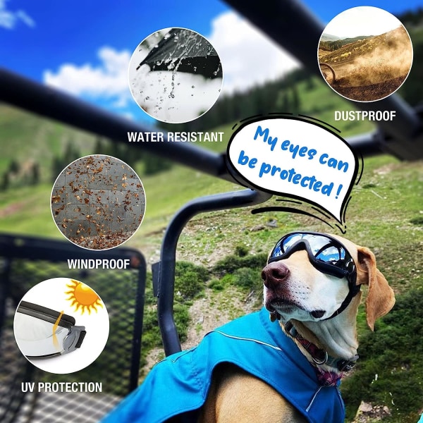 Hundglasögon UV-skydd Vattentätt vindtätt ögonskydd för stora medelstora hundar