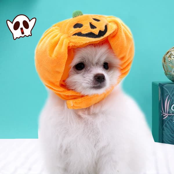 2 stk. hund Halloween kostumer kæledyr græskar hat - sjov Halloween fest