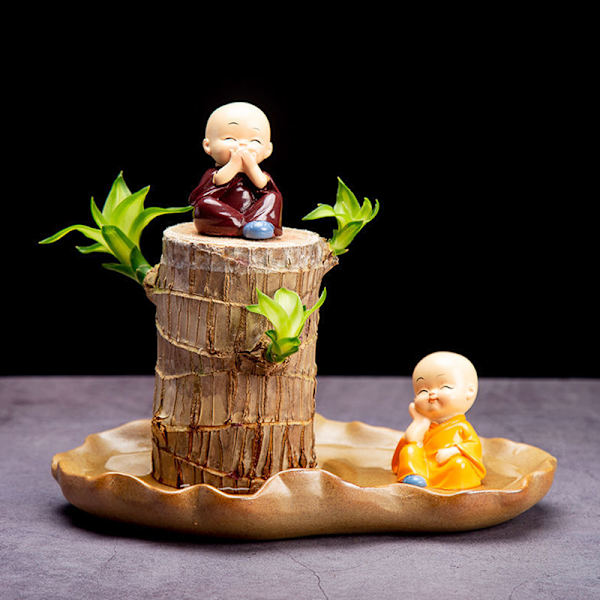 Mini Brasilien Lucky Wood Hydroponisk Trädstubbe Skrivbord s A3