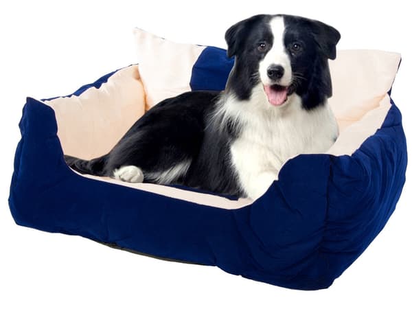 Hundeseng til store hunde 75 x 56 x 25 cm med skridsikker underside