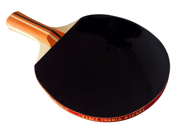 Bordtennisset 2 racketar + 3 bollar med fodral