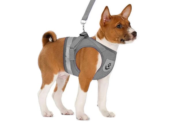 Trykfri hundesele med snor 110 cm refleks justerbar M grå