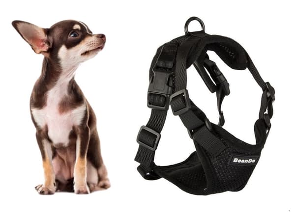 Hundesele med line str. S sort reflekterende justerbar 150 cm