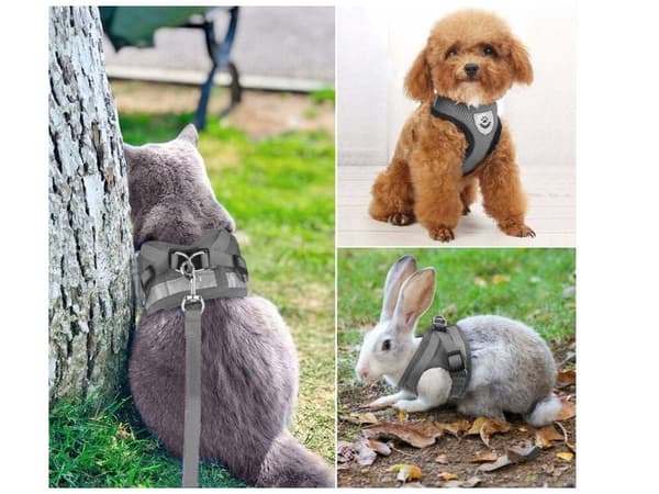 Trykfri hundesele med snor 110 cm refleks justerbar M grå