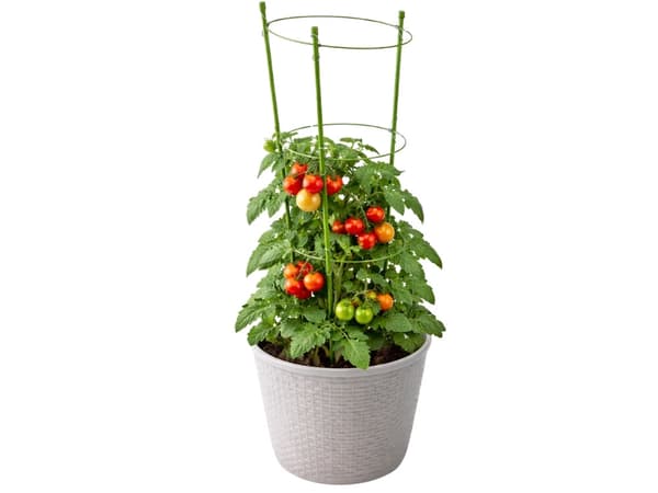 Växtstöd 90 cm med 3 justerbara ringar, grön metall/plast