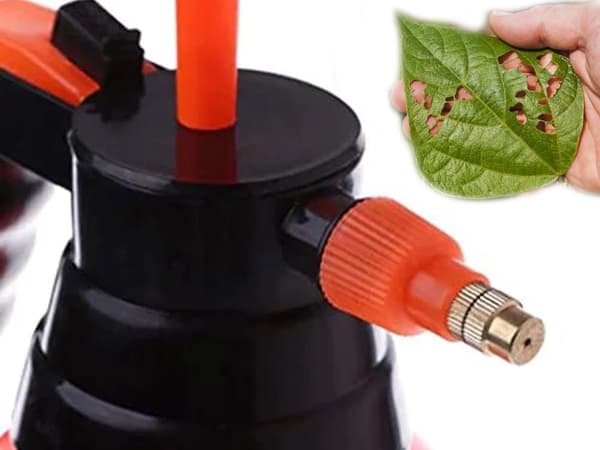 Tryksprøjte 2 L til planter med justerbar dyse og låsefunktion orange