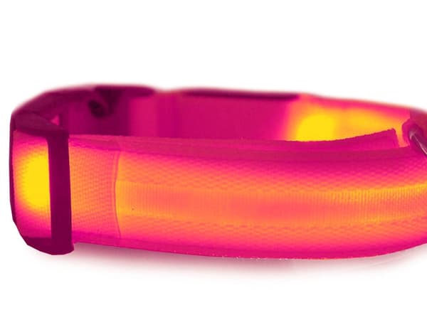 LED-halsbånd hund/kat justerbart 46–59 cm rosa inkl. 2 batterier