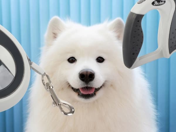 Automatisk hundesnor 5 m sort til hund op til 20 kg