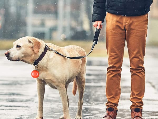 LED-halsbåndsvedhæng til hund/kat rød med metalkrog