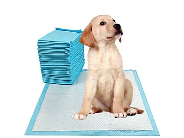 Træningsunderlag til hund 45x60 cm absorberende engang 50-pack